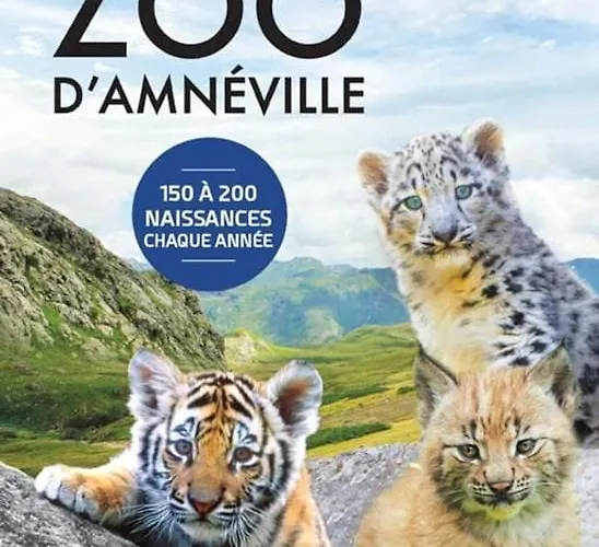 Le Mansarde Chaleureux T3 - 2 Netflix Wifi Homecourt